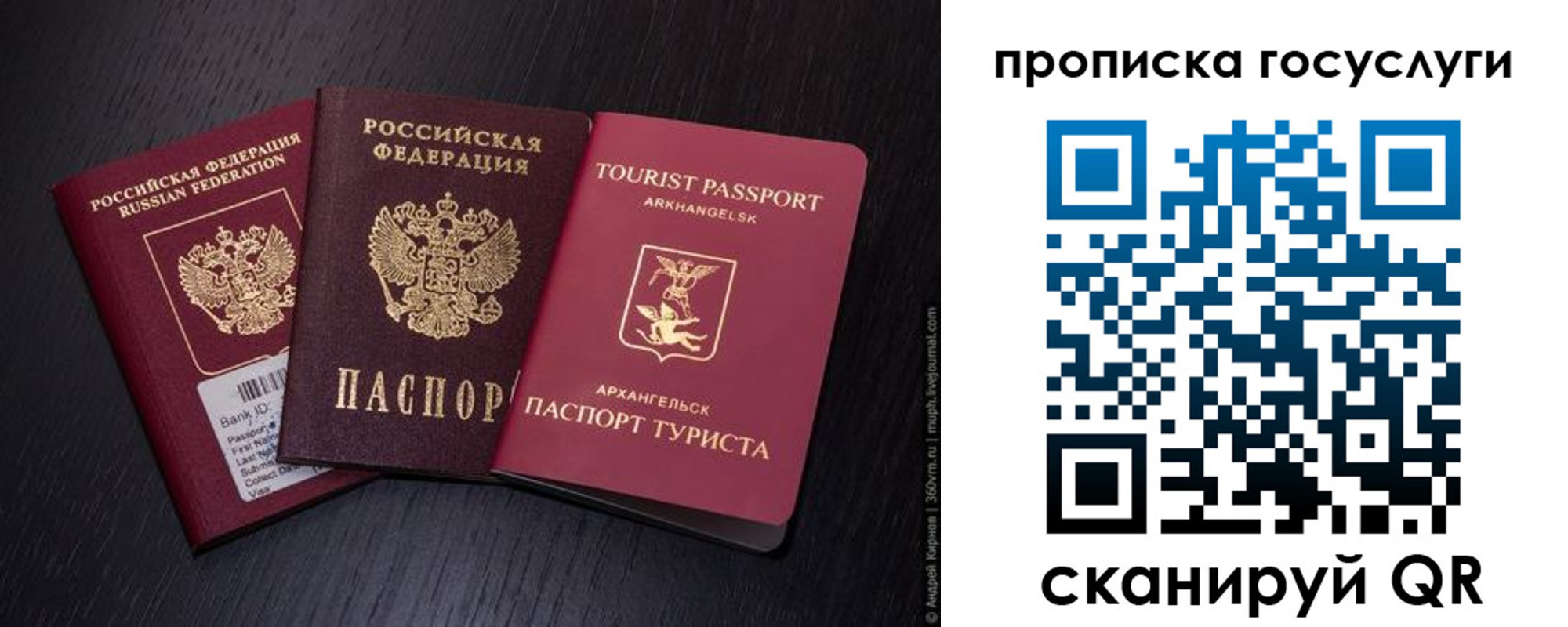 прописка 2025 в Лодейном Поле